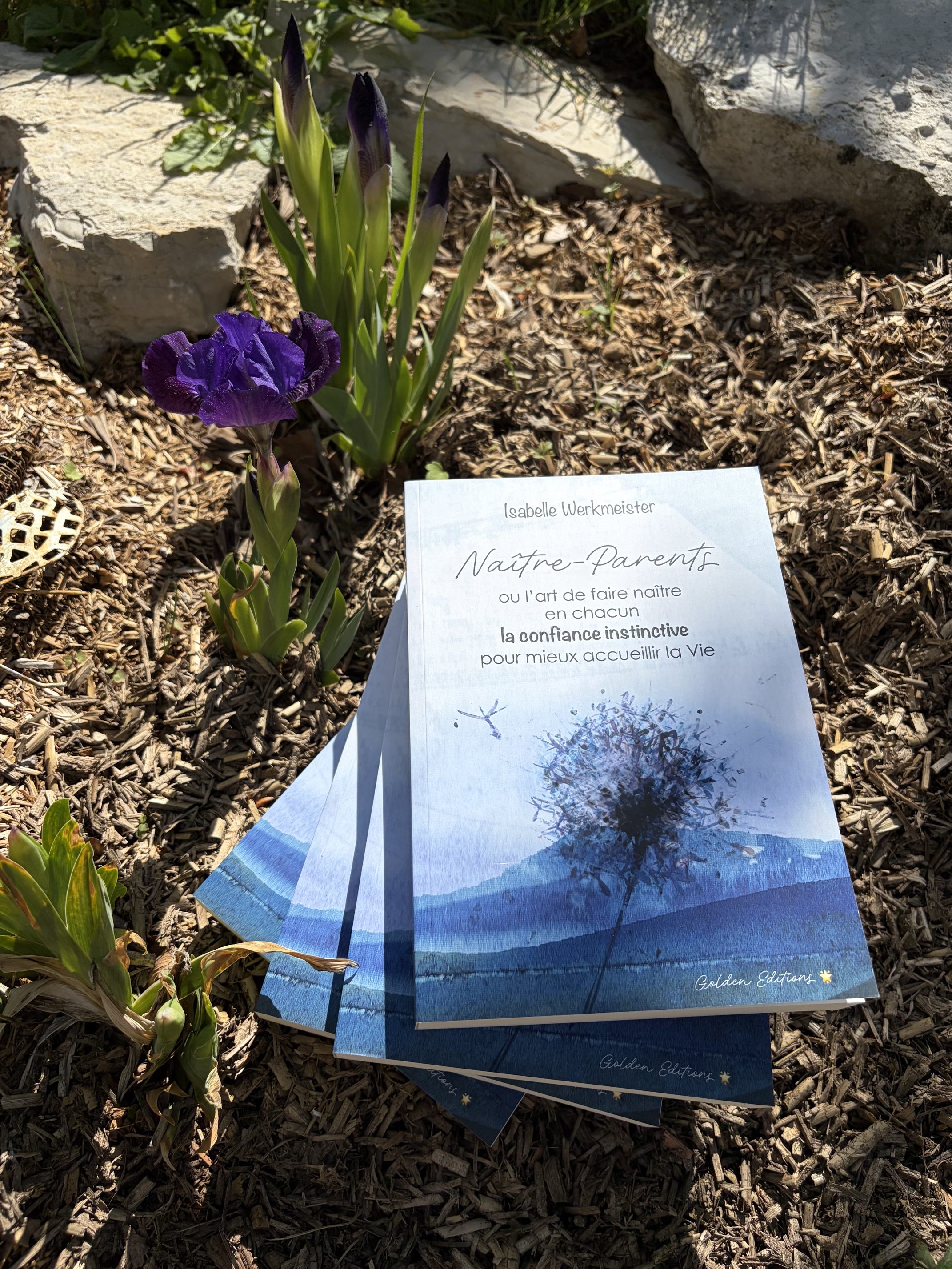 Bonne nouvelle 🥳 : mon livre est enfin là et il n&rsquo;attend plus que vous 🤩.